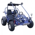 Beach Buggy Off-Road Go Kart 