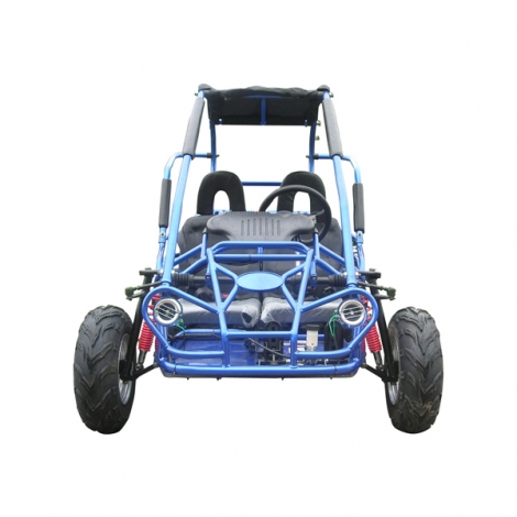 MITTE TrailMaster Dune Buggy Off-Road