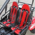 Sport Racing Off Road Buggy 200cc rot 