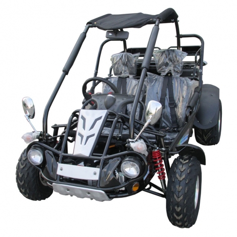 Dune Buggy TrailMaster 300XRX