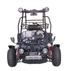 4 Rad-Off Road Buggy Rennen