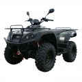 ATV Quad Off Road 4 x 4 300cc grün 