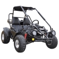 150cc Gas Go Kart mit umgekehrter Balck 