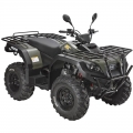 ATV Quad Off Road 4 x 4 300cc grün 