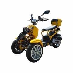 Three Wheel 50cc Gas Trike Motorcycle