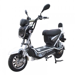 Elektro-Roller Mopeds für Erwachsene leicht