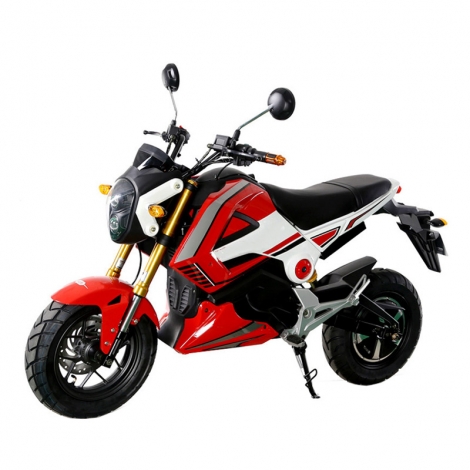 Erwachsene Electriec Motorrad 1000W