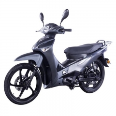 Elektro Moped Roller mit Pedal 2000W